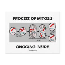 Process Of Mitosis Ongoing Inside