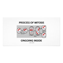Processus de l'intérieur actuel de mitose photocarte customisée