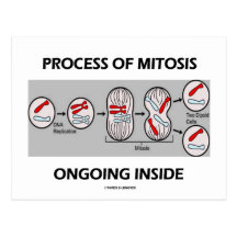 Processus de l'intérieur actuel de mitose carte postale