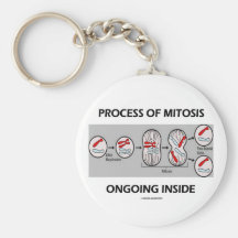 Processus de l'intérieur actuel de mitose porte-clefs