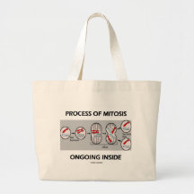 Processus de l'intérieur actuel de mitose sacs