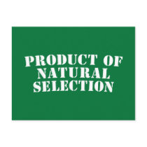 Product Of Natural Selection Postcard