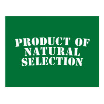 Product Of Natural Selection Postcard
