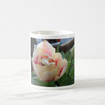 Products with Yellow & Pink Tulip Mugs