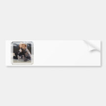Produit de personnaliser adhésifs pour voiture