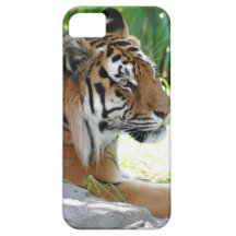 Produit de personnaliser coque iPhone 5