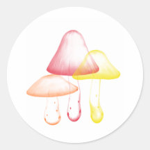 Produits de champignon adhésif