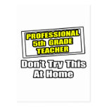 Professional 5th Grade Teacher...Joke Post Cards