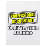 Professional Accountant...Don't Try This At Home flyers