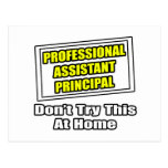 Professional Assistant Principal .. Joke Postcard