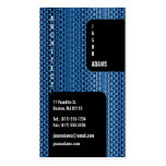 Professional Business Card