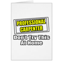 Professional Carpenter...Don't Try This At Home