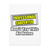 Professional Carpenter...Don't Try This At Home