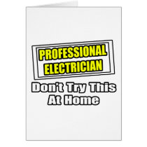 Professional Electrician...Don't Try This At Home