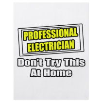 Professional Electrician...Don't Try This At Home