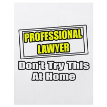 Professional Lawyer...Don't Try This At Home