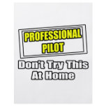 Professional Pilot...Don't Try This At Home flyers