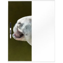 Profil anglais de bouledogue tableau effaçable à sec