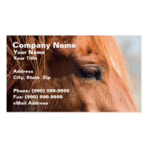 Profil de cheval carte de visite