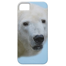 Profil d'ours blancs coques Case-Mate iPhone 5
