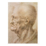 Profil d'un vieil homme cartes postales