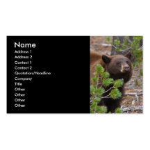 profil ou carte de visite, ours noir