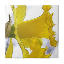 Profile - Bright Yellow Daffodil Tiles