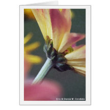 Profile Greeting Card