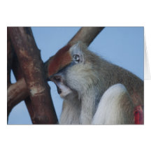 Profile Greeting Cards