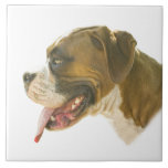 Profile of a Boxer Dog Tile Trivet