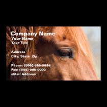 Profile of Horse Business Card Template