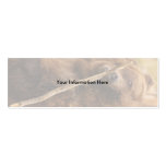 profile or business card, bear