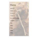 profile or business card, bear