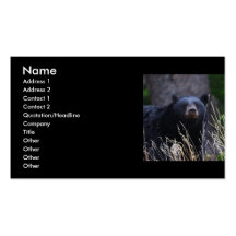 profile or business card, black bear