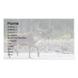 profile or business card, caribou