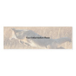 profile or business card, coyote jumping