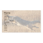 profile or business card, coyote jumping