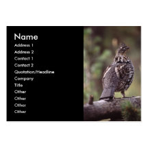 profile or business card, grouse