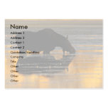 profile or business card, moose
