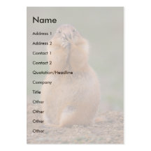 profile or business card, prairie dog