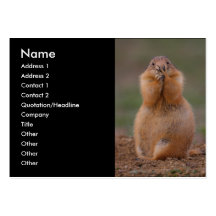 profile or business card, prairie dog