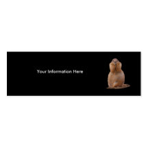 profile or business card, prairie dog