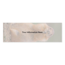 profile or business card, prairie dog