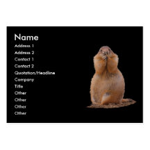 profile or business card, prairie dog