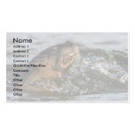 profile or business card, river otter