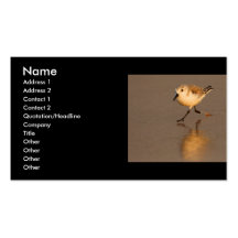 profile or business card, sand piper