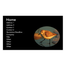 profile or business card, sand piper