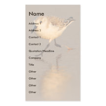 profile or business card, sand piper