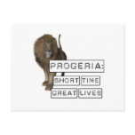 Progeria: Short Time Great Lives, with Lion Post Card