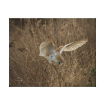 Proie de chasse impression sur toile